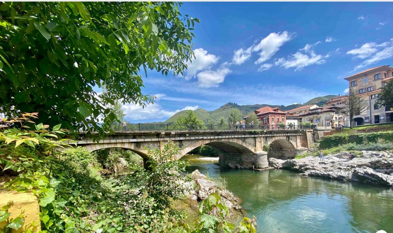 Apartamento Centro Cangas De Onis Apartment Luaran gambar